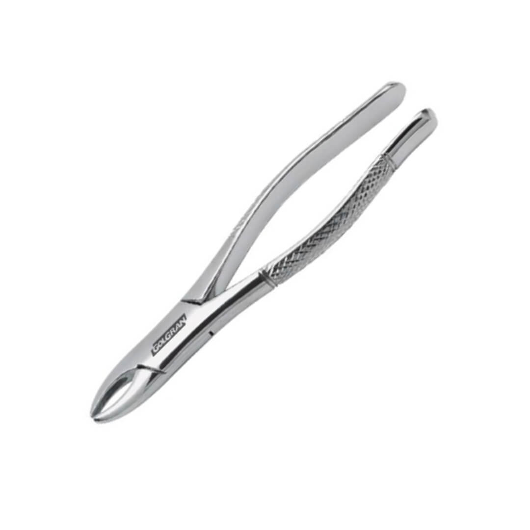 Fórceps Odontológico Adulto - Golgran - Dental Access