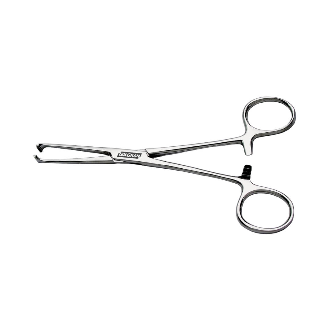 Pinça Allis 15cm Aço Inox - Golgran - Dental Access