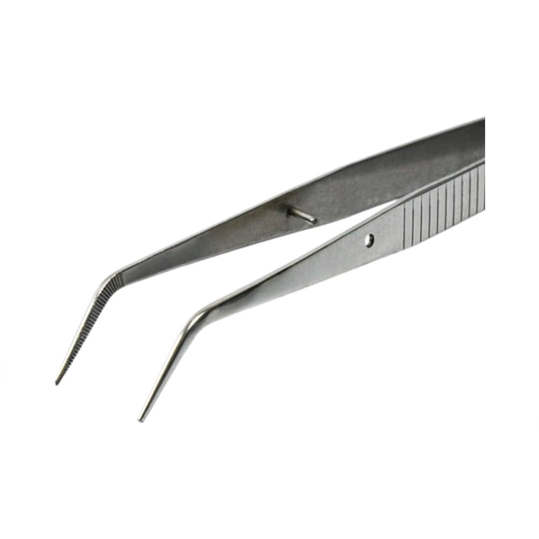 Pinça Clínica para Algodão - Fava