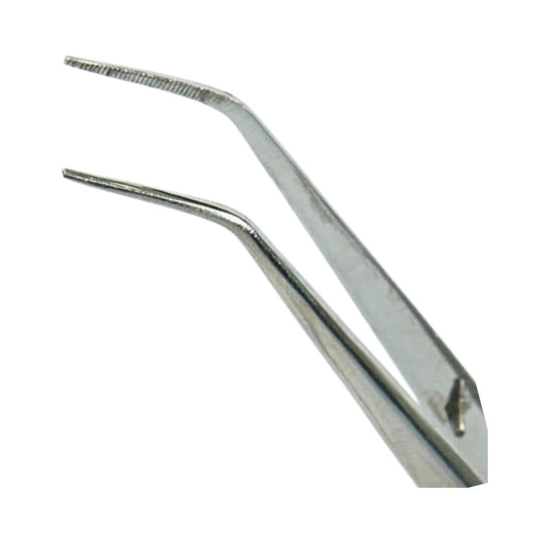 Pinça Clínica Para Algodão Nº 317 - Golgran | Dental Access