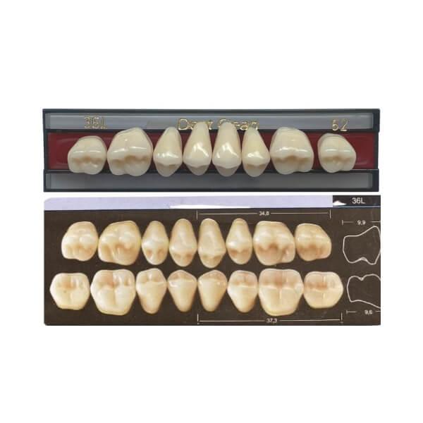 Dente Dent Clean Posterior 36L Superior - Imodonto - Dental Access