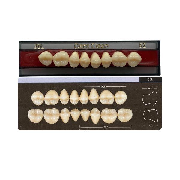 Dente Dent Clean Posterior 30L Superior - Imodonto - Dental Access