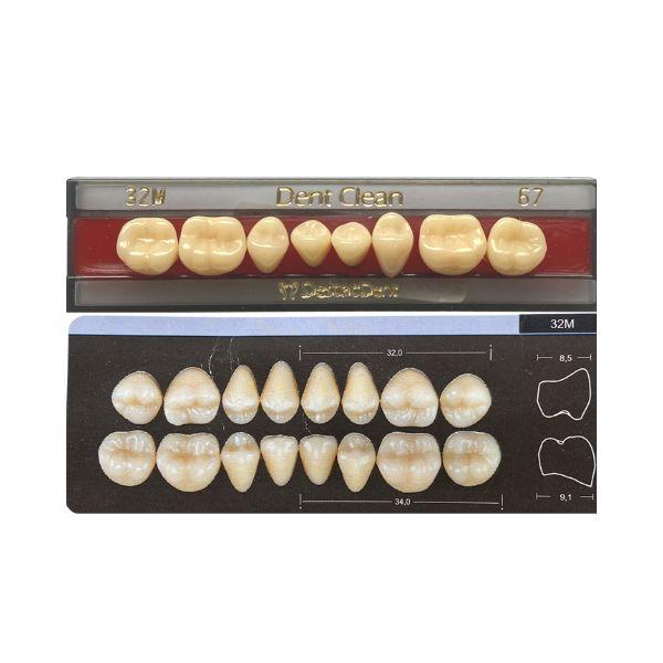 Dente Dent Clean Posterior 32M Inferior - Imodonto - Dental Access