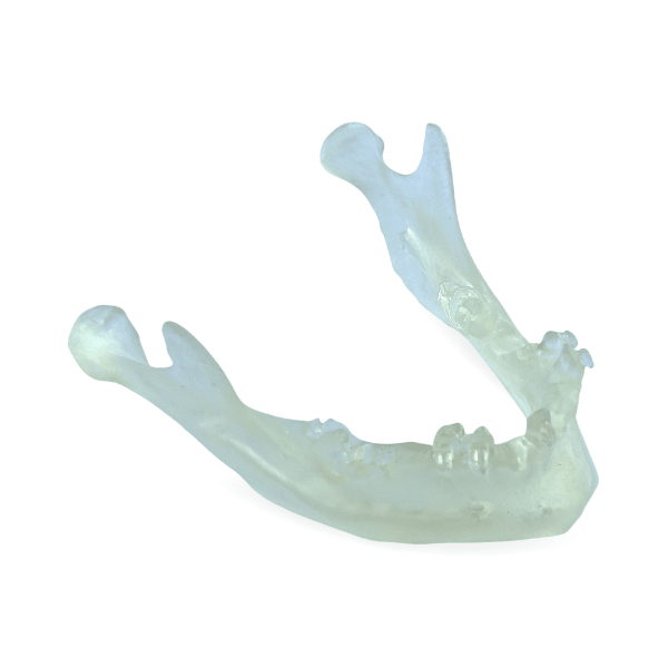 Mandíbula Implantodontia LSE - Biom 3D - Dental Access