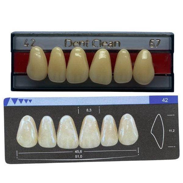 Dente Dent Clean Anterior 42 Superior - Imodonto - Dental Access