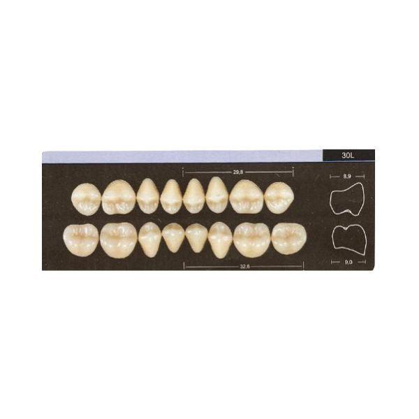 Dente Dent Clean Posterior 30L Inferior - Imodonto - Dental Access