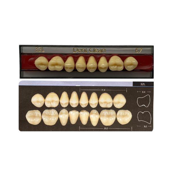 Dente Dent Clean Posterior 32L Superior - Imodonto - Dental Access