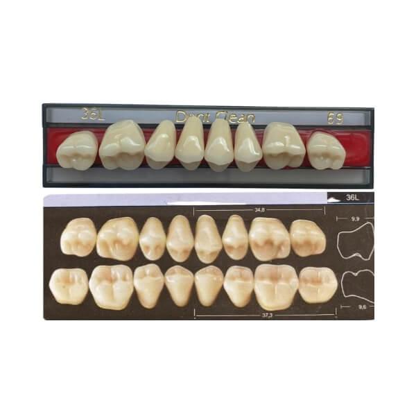 Dente Dent Clean Posterior 36L Superior - Imodonto - Dental Access
