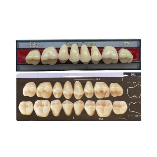 Dente Dent Clean Posterior 36L Superior - Imodonto - Dental Access