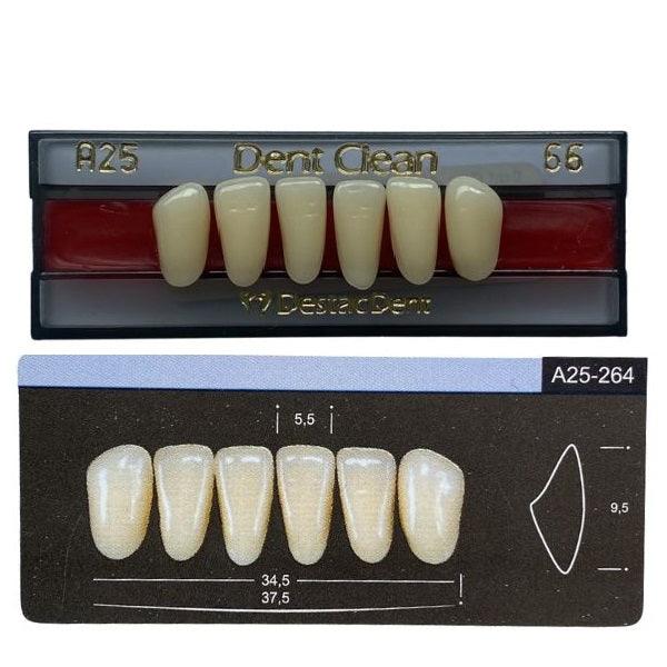 Dente Dent Clean Anterior A25 Inferior - Imodonto - Dental Access