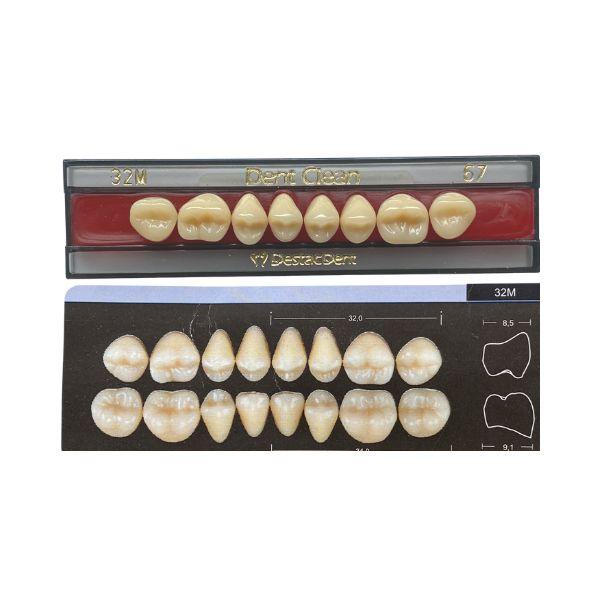 Dente Dent Clean Posterior 32M Superior - Imodonto - Dental Access