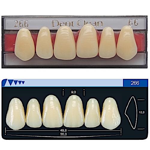 Dente Dent Clean Anterior 266 Superior - Imodonto - Dental Access