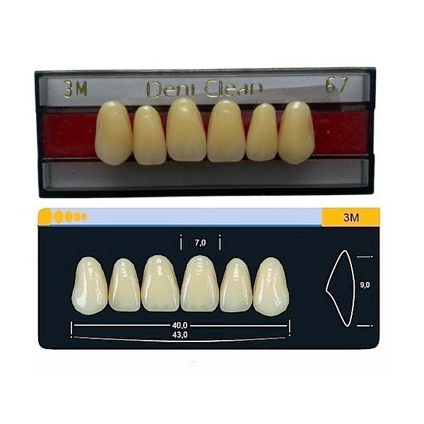 Dente Dent Clean Anterior 3M Superior - Imodonto - Dental Access