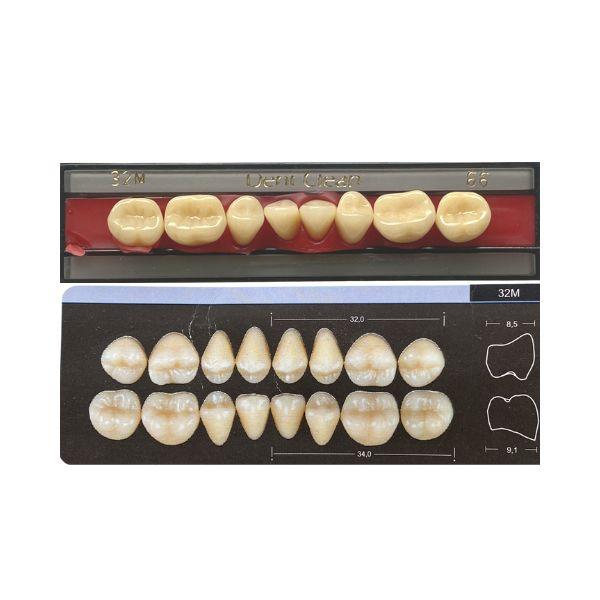 Dente Dent Clean Posterior 32M Inferior - Imodonto - Dental Access