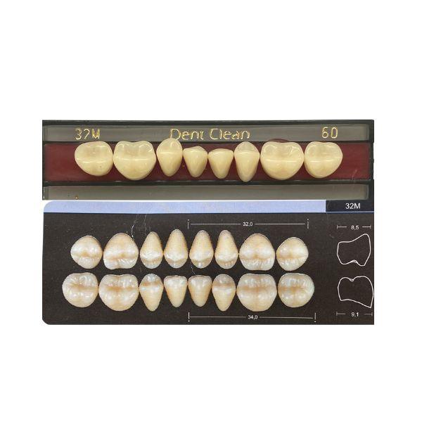 Dente Dent Clean Posterior 32M Inferior - Imodonto - Dental Access