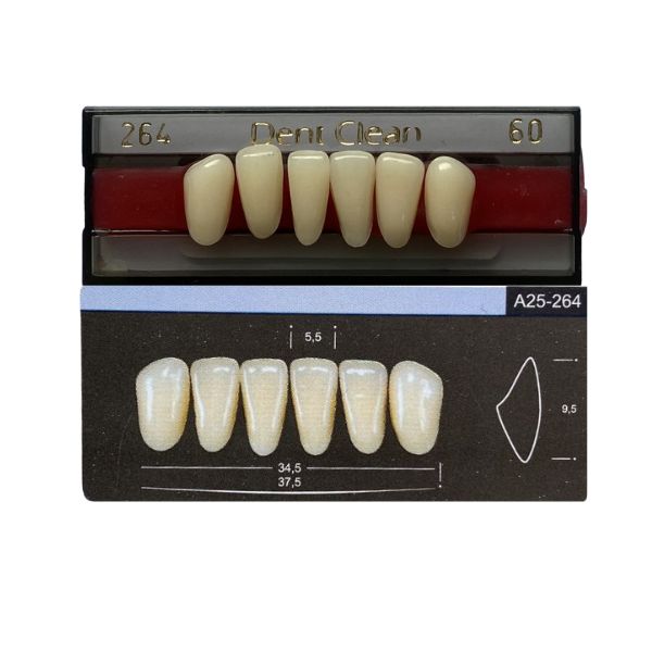 Dente Dent Clean Anterior 264 Inferior - Imodonto - Dental Access