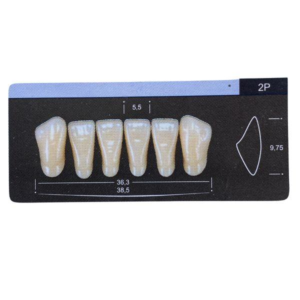 Dente Dent Clean Anterior 2P Inferior - Imodonto - Dental Access