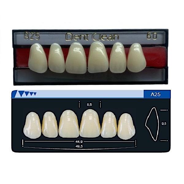 Dente Dent Clean Anterior A25 Superior - Imodonto - Dental Access