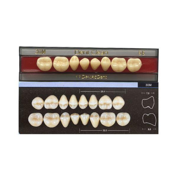 Dente Dent Clean Posterior 30M Inferior - Imodonto - Dental Access