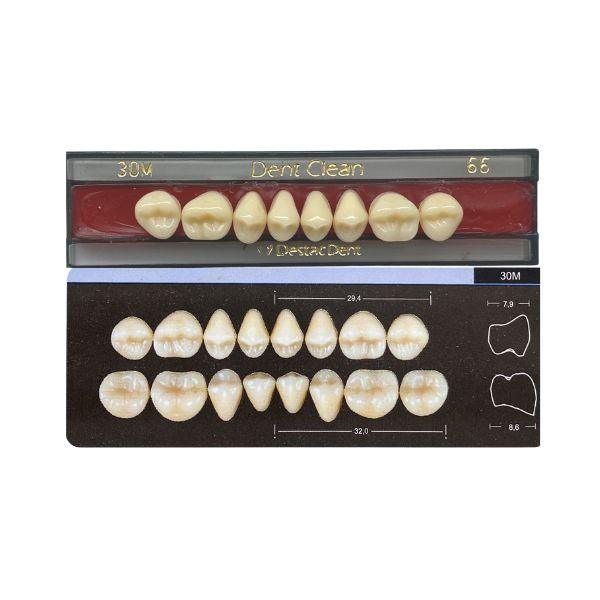Dente Dent Clean Posterior 30M Superior - Imodonto - Dental Access