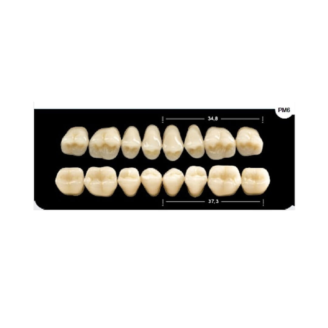 Dente Platinum Tri03 Camadas Posterior PM6 Superior-Imodonto - Dental Access