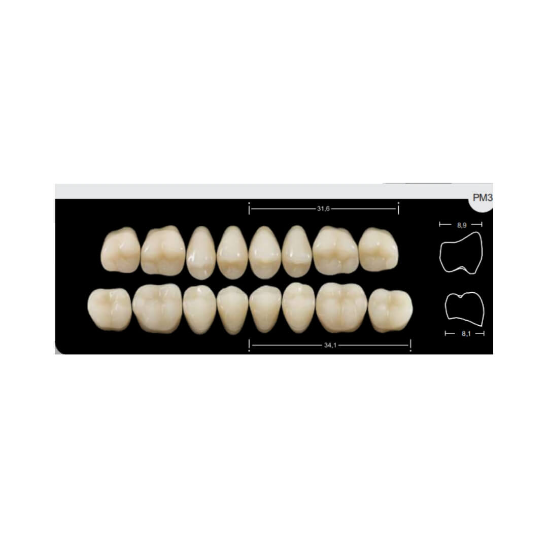 Dente Platinum Tri03 Camadas Posterior PM3 Superior-Imodonto - Dental Access