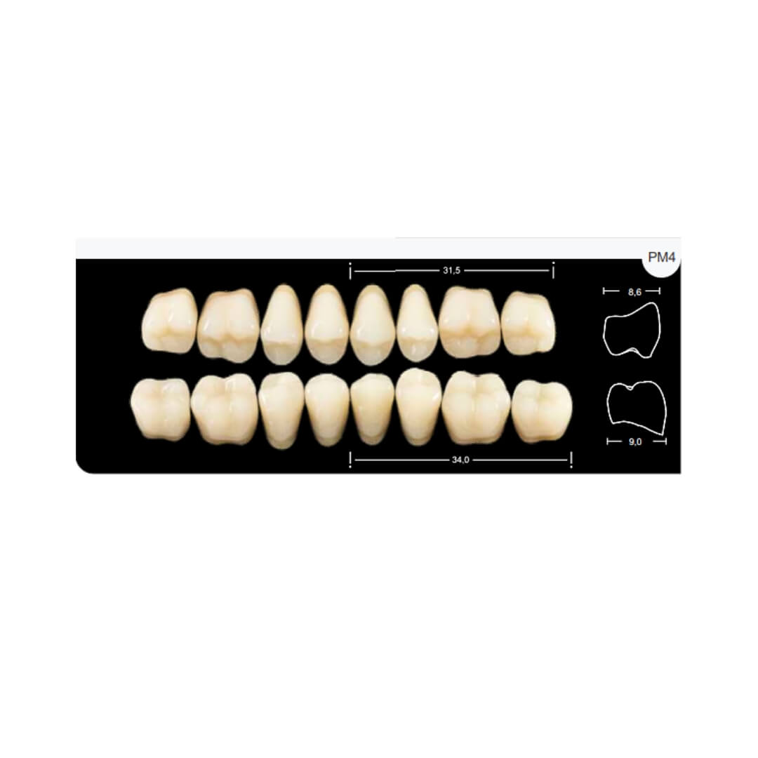Dente Platinum Tri03 Camadas Posterior PM4 Inferior-Imodonto - Dental Access